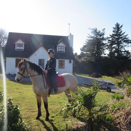 Letterfrack Farmhouse On Equestrian Farm In Letterfrack Beside Connemara National Park Tullywee Bridge Eksteriør billede