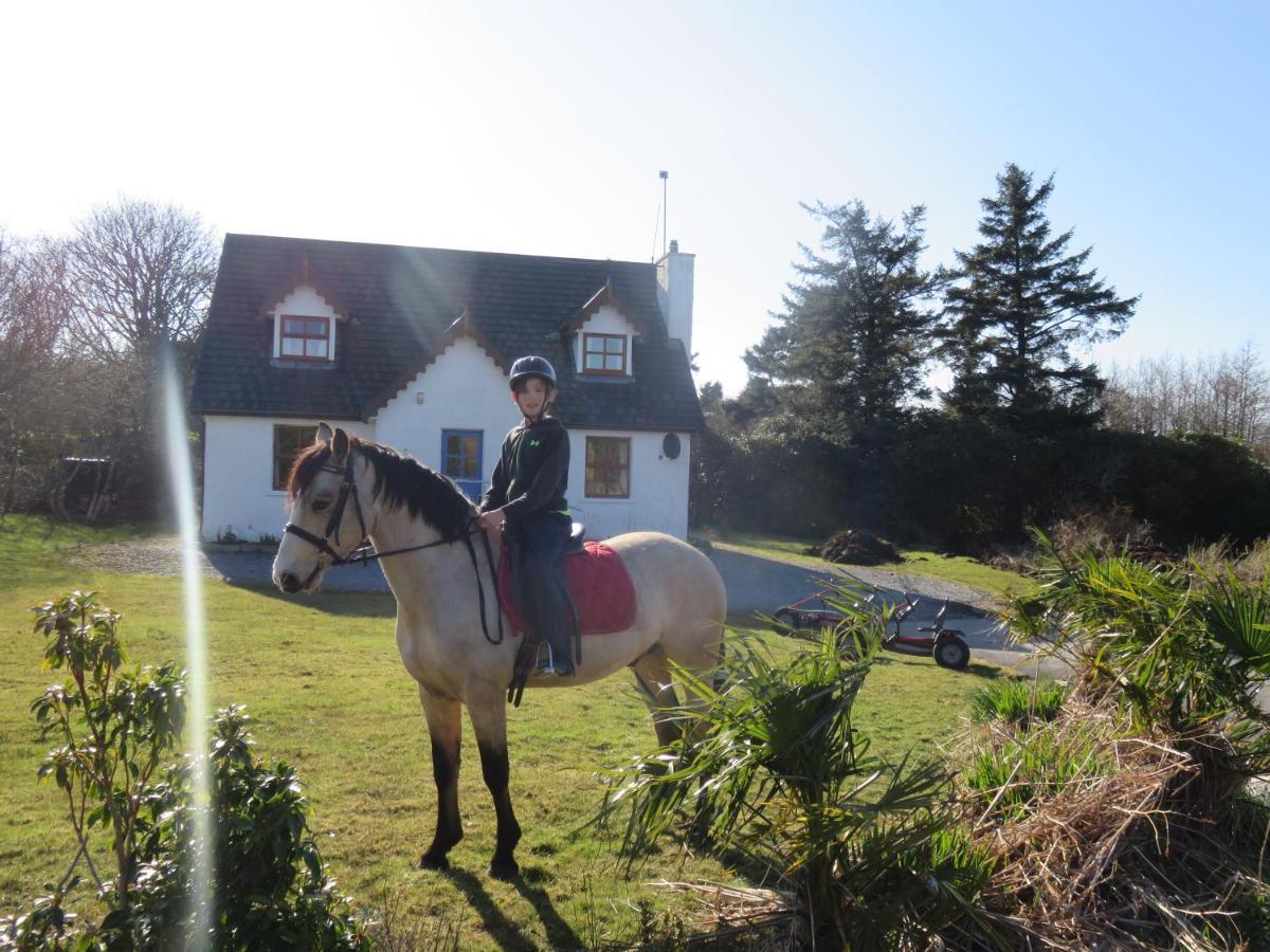 Letterfrack Farmhouse On Equestrian Farm In Letterfrack Beside Connemara National Park Tullywee Bridge Eksteriør billede