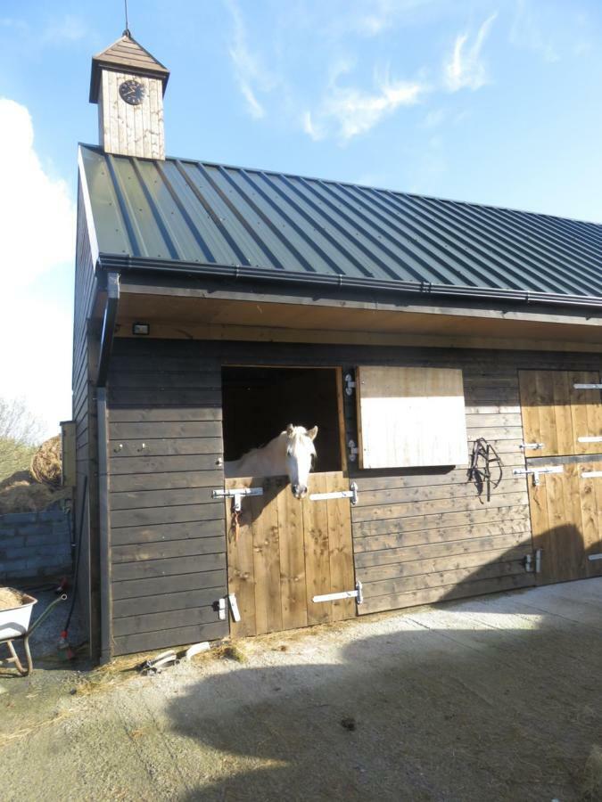 Letterfrack Farmhouse On Equestrian Farm In Letterfrack Beside Connemara National Park Tullywee Bridge Eksteriør billede